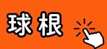 球根