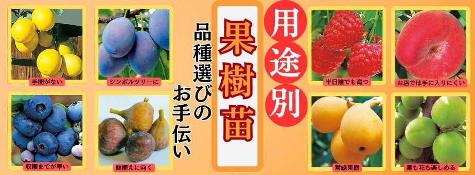 用途別果樹苗