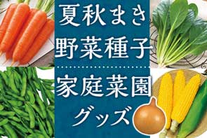 上得意