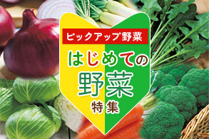 はじめての野菜