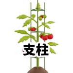 【支柱】