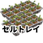 【セルトレイ】