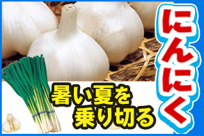 ニンニク特集
