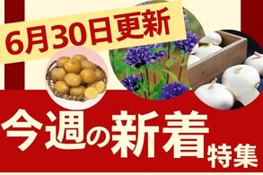 新着特集