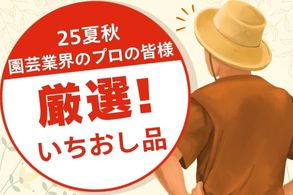 仕入先推し