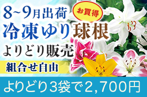 冷凍ゆりよりどり8～9月