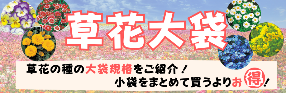 草花タネ大袋
