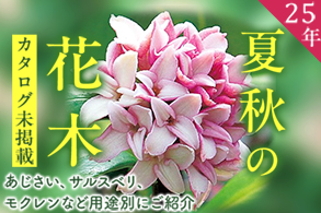 ガイド未掲載花木