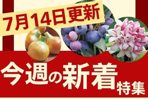 新着特集
