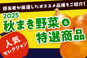 人気セレクション