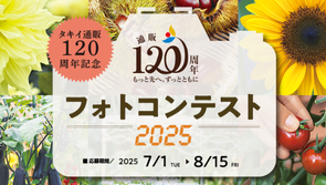 フォトコンテスト