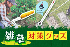 雑草対策