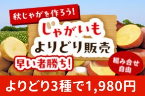 じゃがいもよりどり