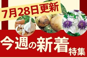 新着特集