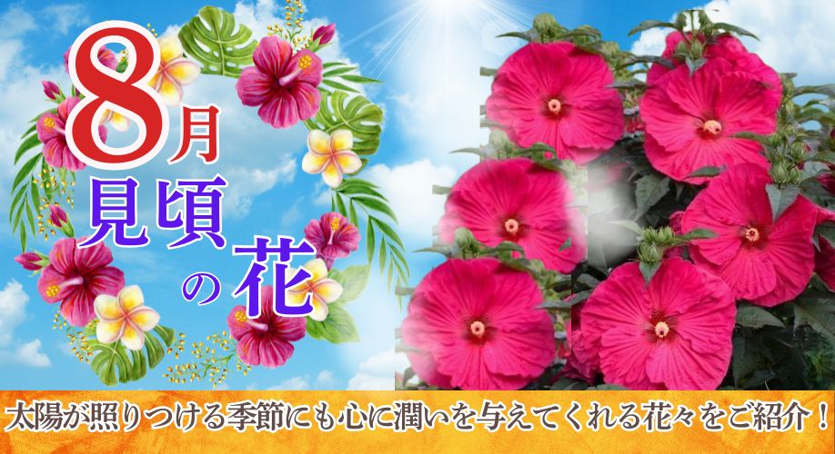 今、旬の花特集