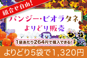 パンジー・ビオラタネよりどり販売