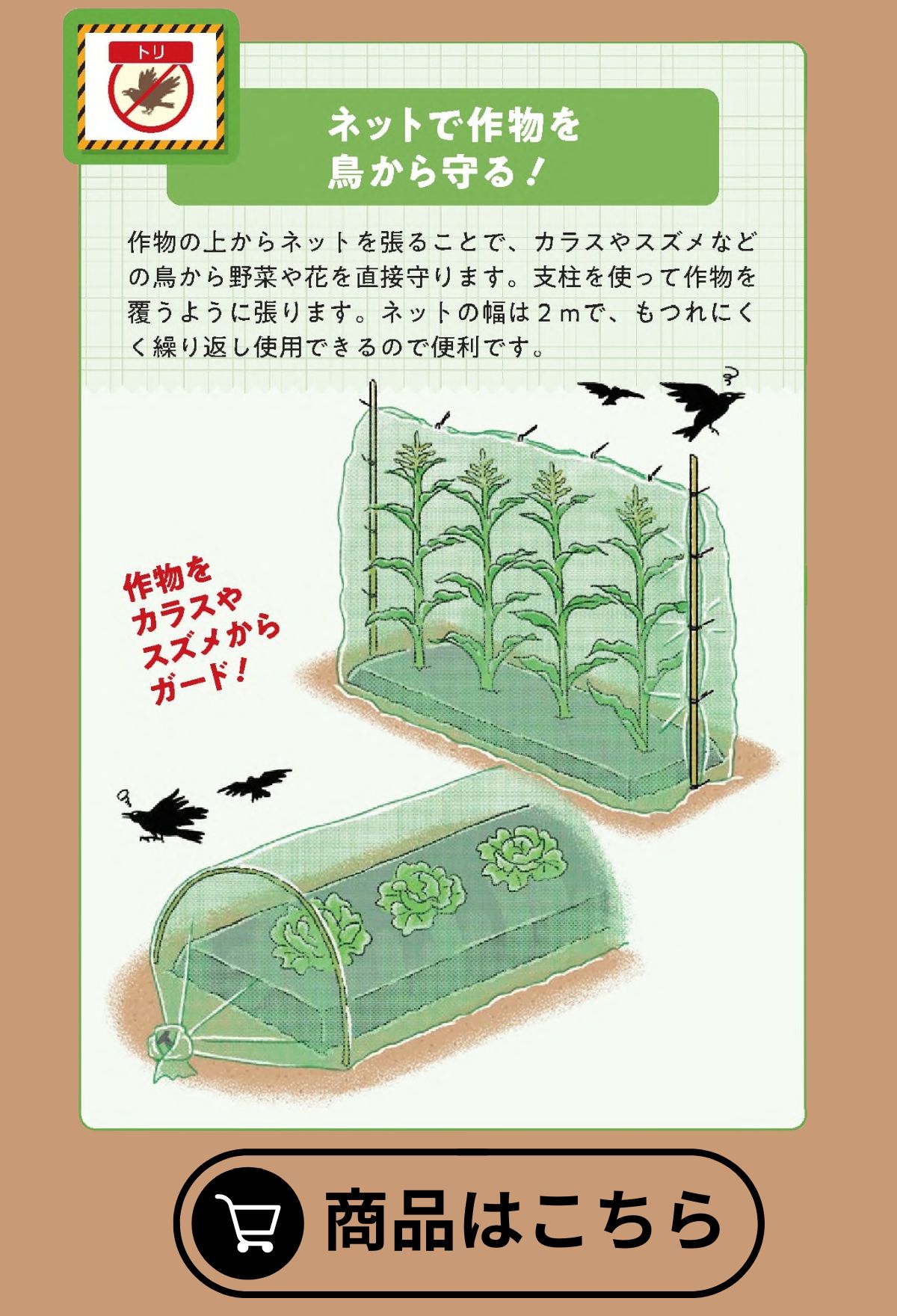 防鳥ネット