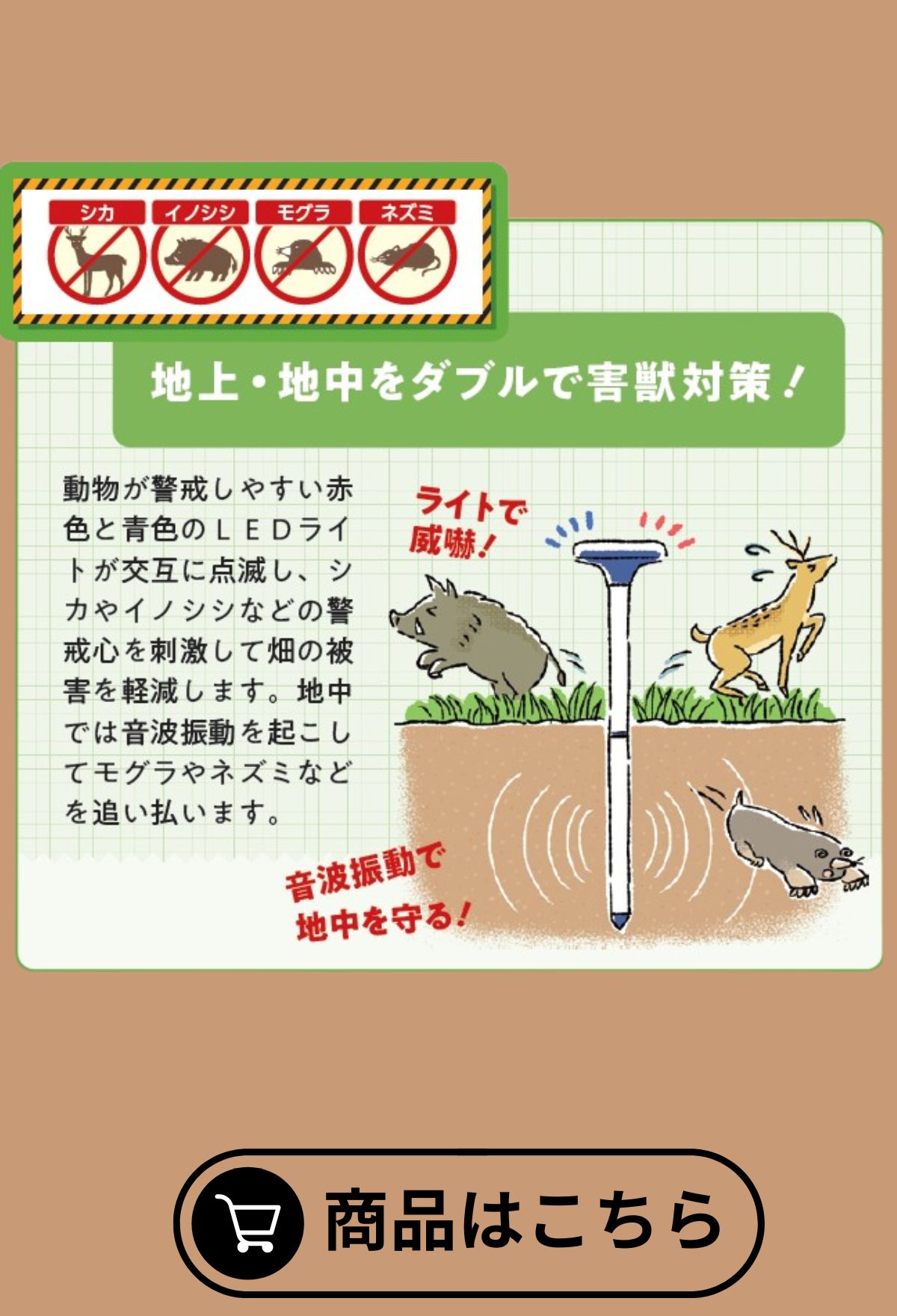 モグライト