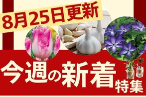 新着特集