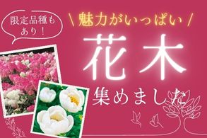 花木大集合