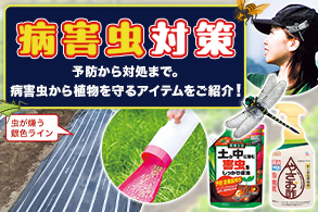 猛暑・大雨対策