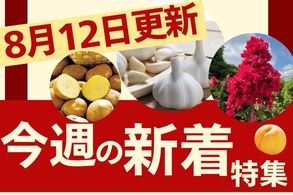 新着特集