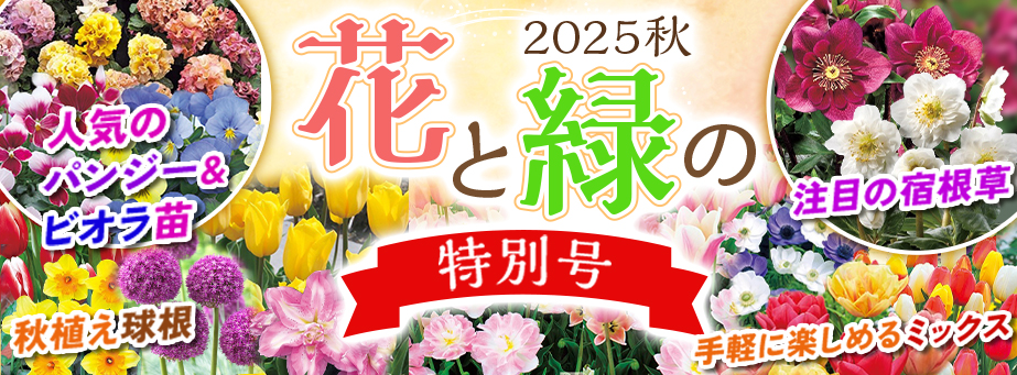 花と緑