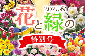 花と緑
