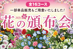 頒布会