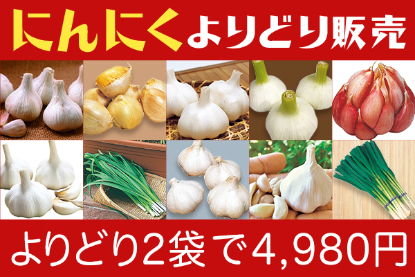 ニンニク