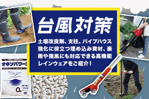 夏の暑さに備える