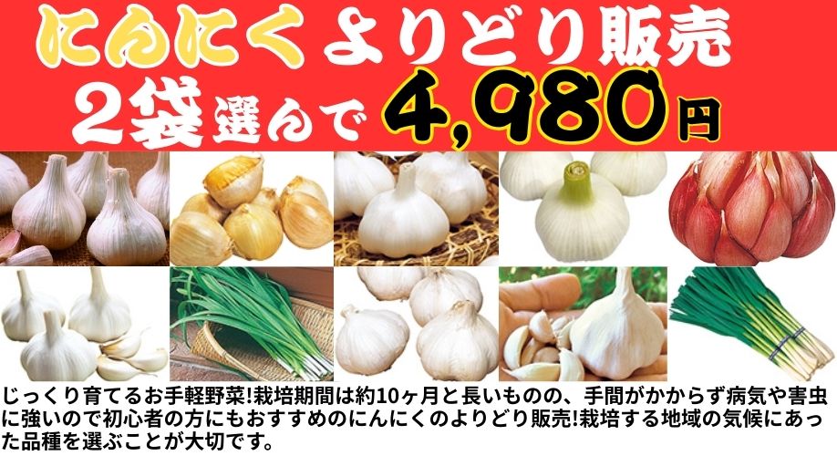 ニンニクよりどり