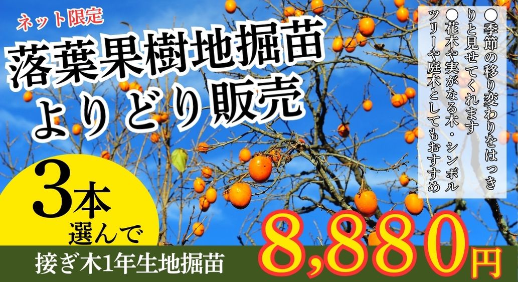 25落葉果樹よりどり販売