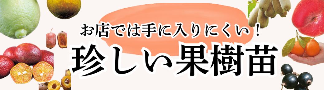 珍しい