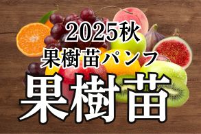 果樹パン