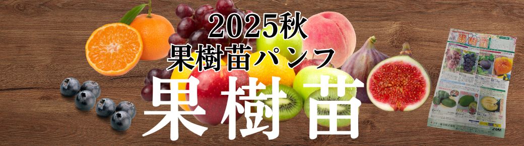 果樹苗