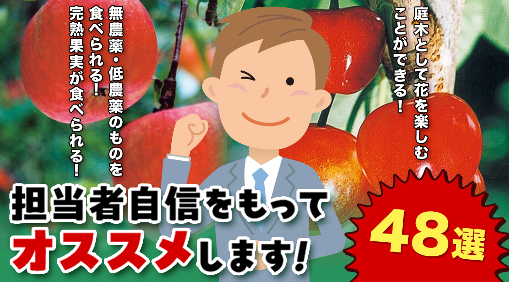 担当者がこの秋オススメ果樹苗