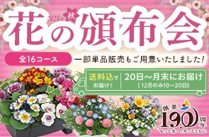 頒布会
