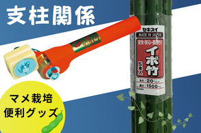 支柱関係