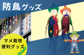 防鳥グッズ