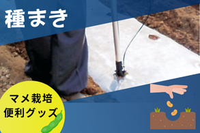 種まき