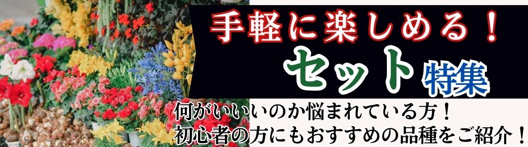 花と緑 クリスマスローズ