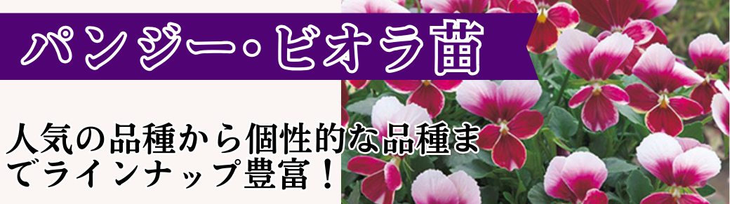 花と緑 パンビオ