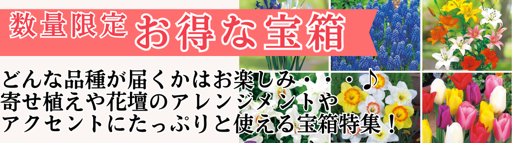 花と緑 宝箱