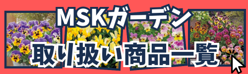 MSK