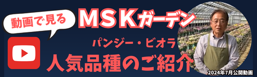 MSK
