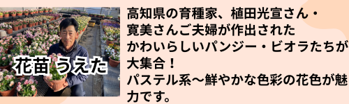 花苗うえた
