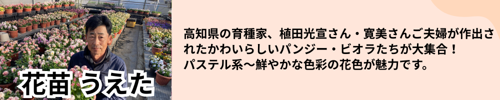 花苗うえた