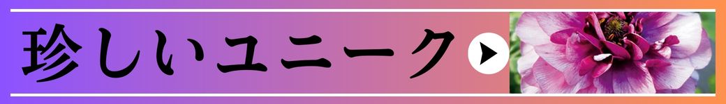 珍しい