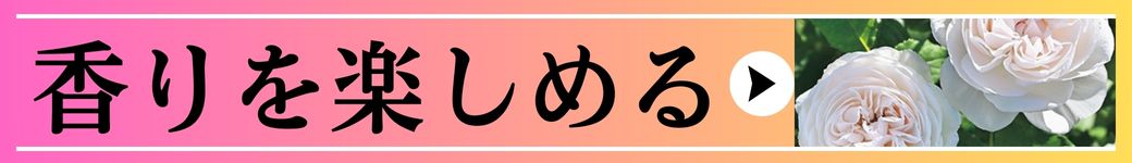 香りも楽しめる